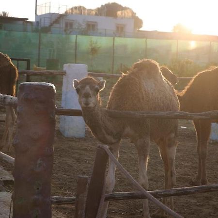 La Granja Vendégház Tétouan Kültér fotó