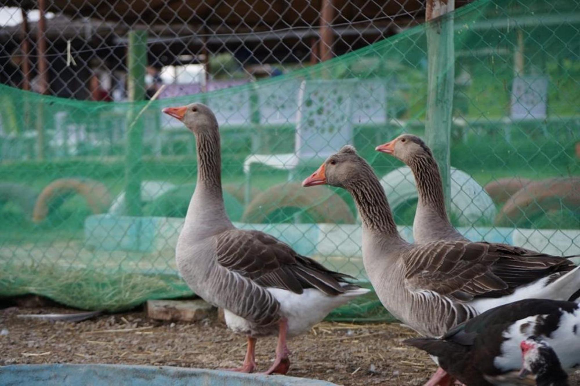 La Granja Vendégház Tétouan Kültér fotó