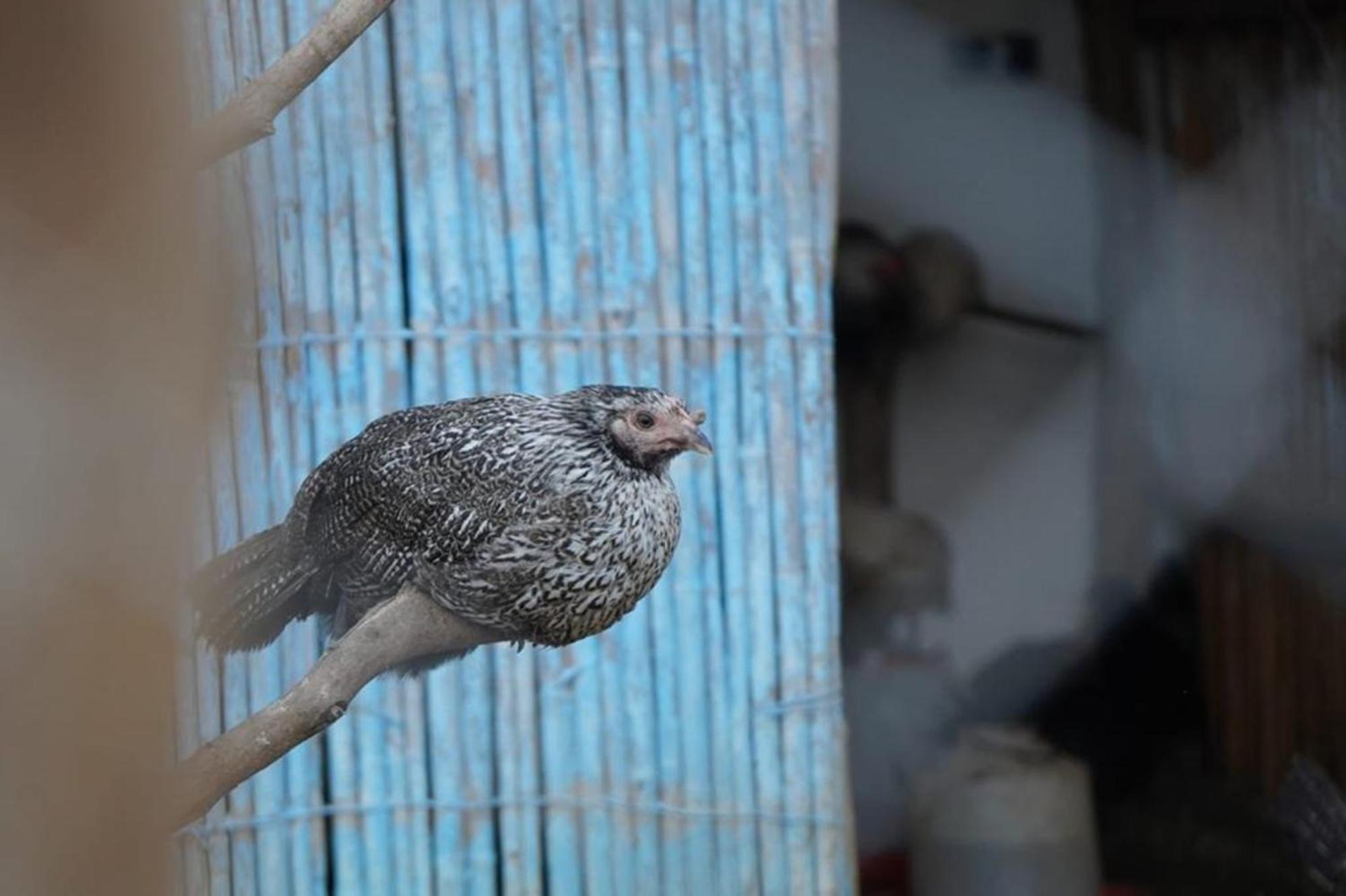 La Granja Vendégház Tétouan Kültér fotó