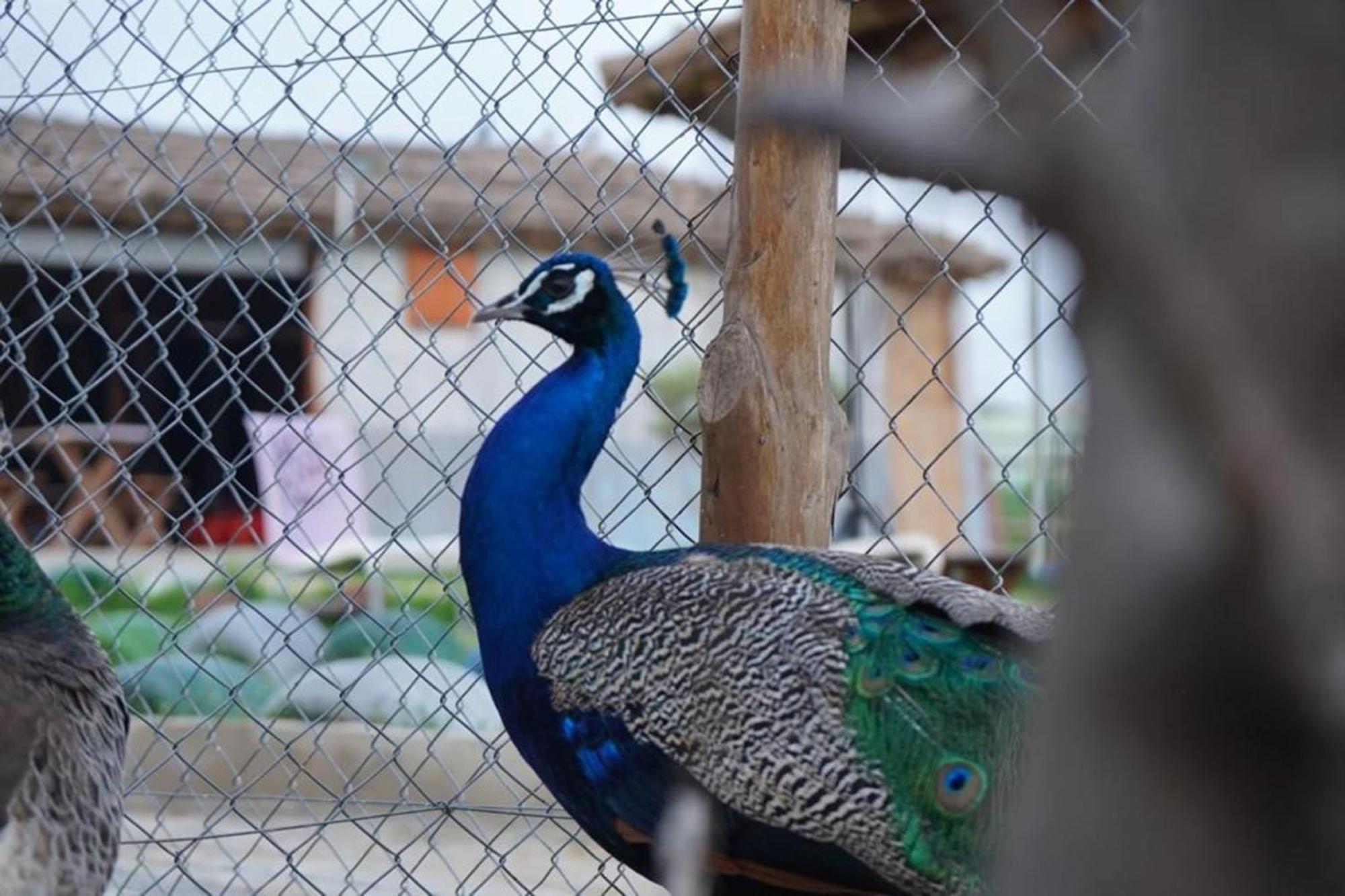 La Granja Vendégház Tétouan Kültér fotó