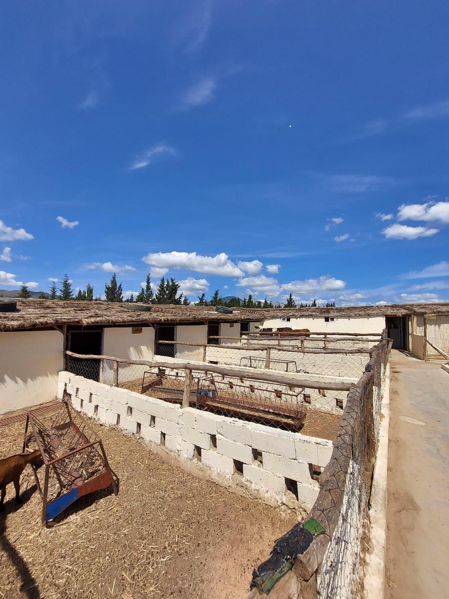 La Granja Vendégház Tétouan Kültér fotó