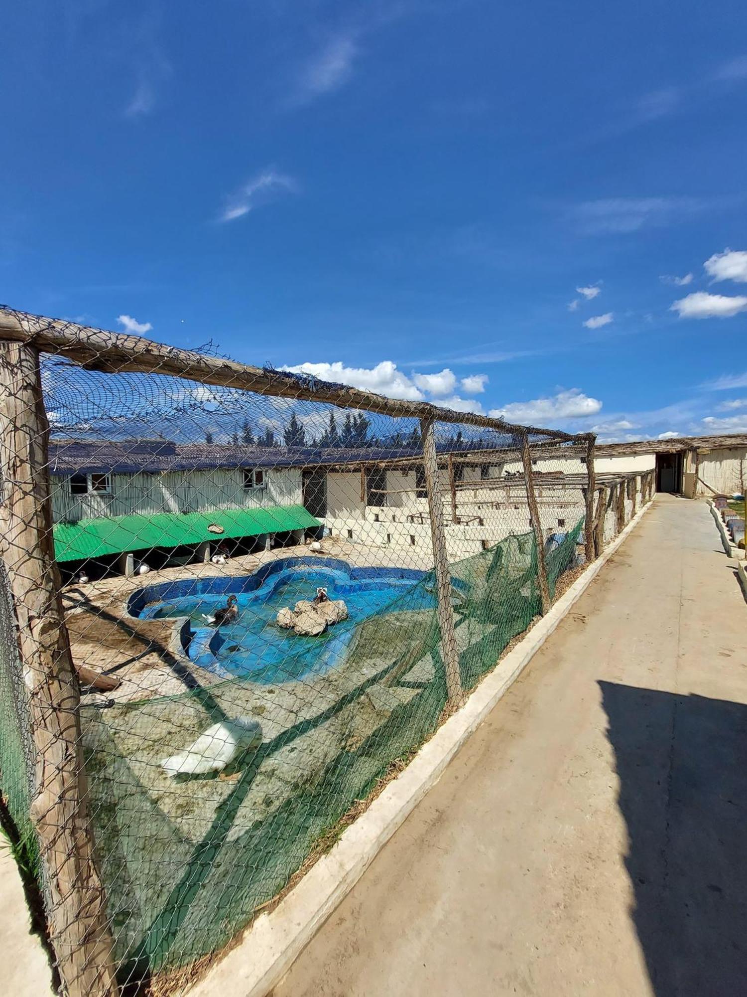 La Granja Vendégház Tétouan Kültér fotó