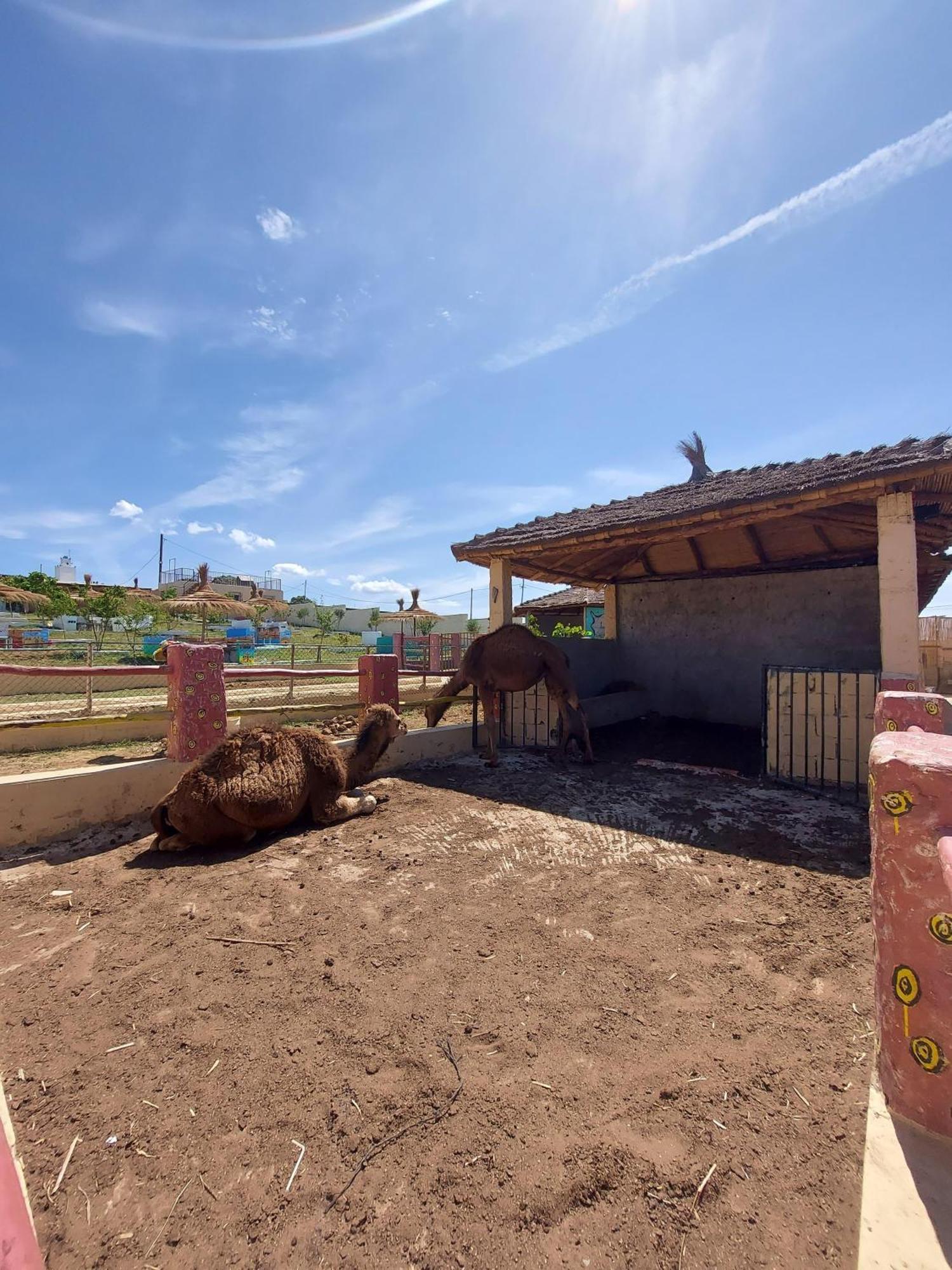 La Granja Vendégház Tétouan Kültér fotó