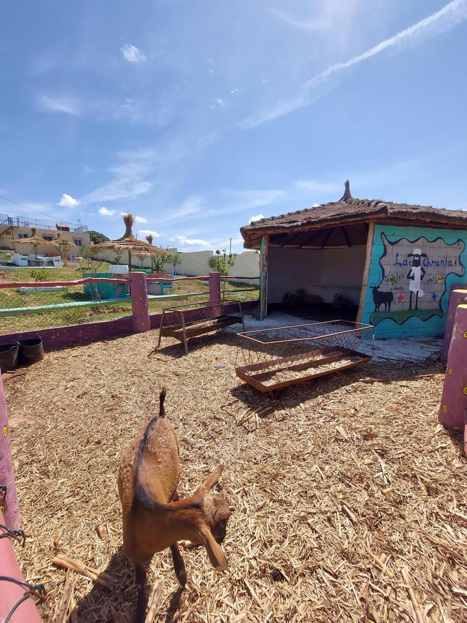 La Granja Vendégház Tétouan Kültér fotó